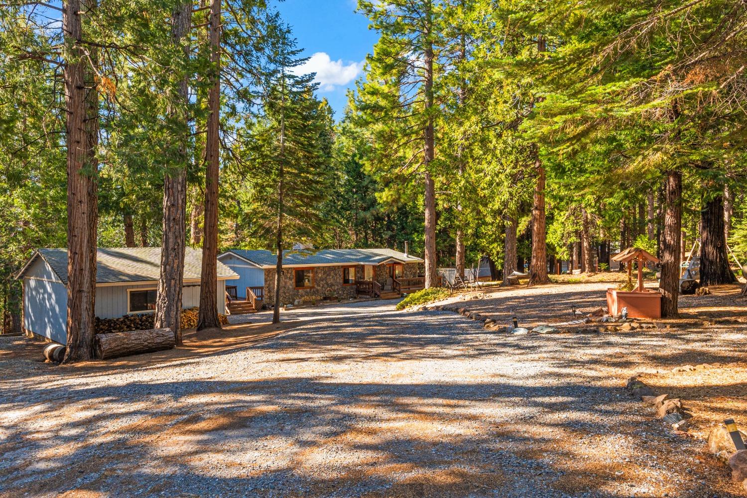6236 Lynx Trail