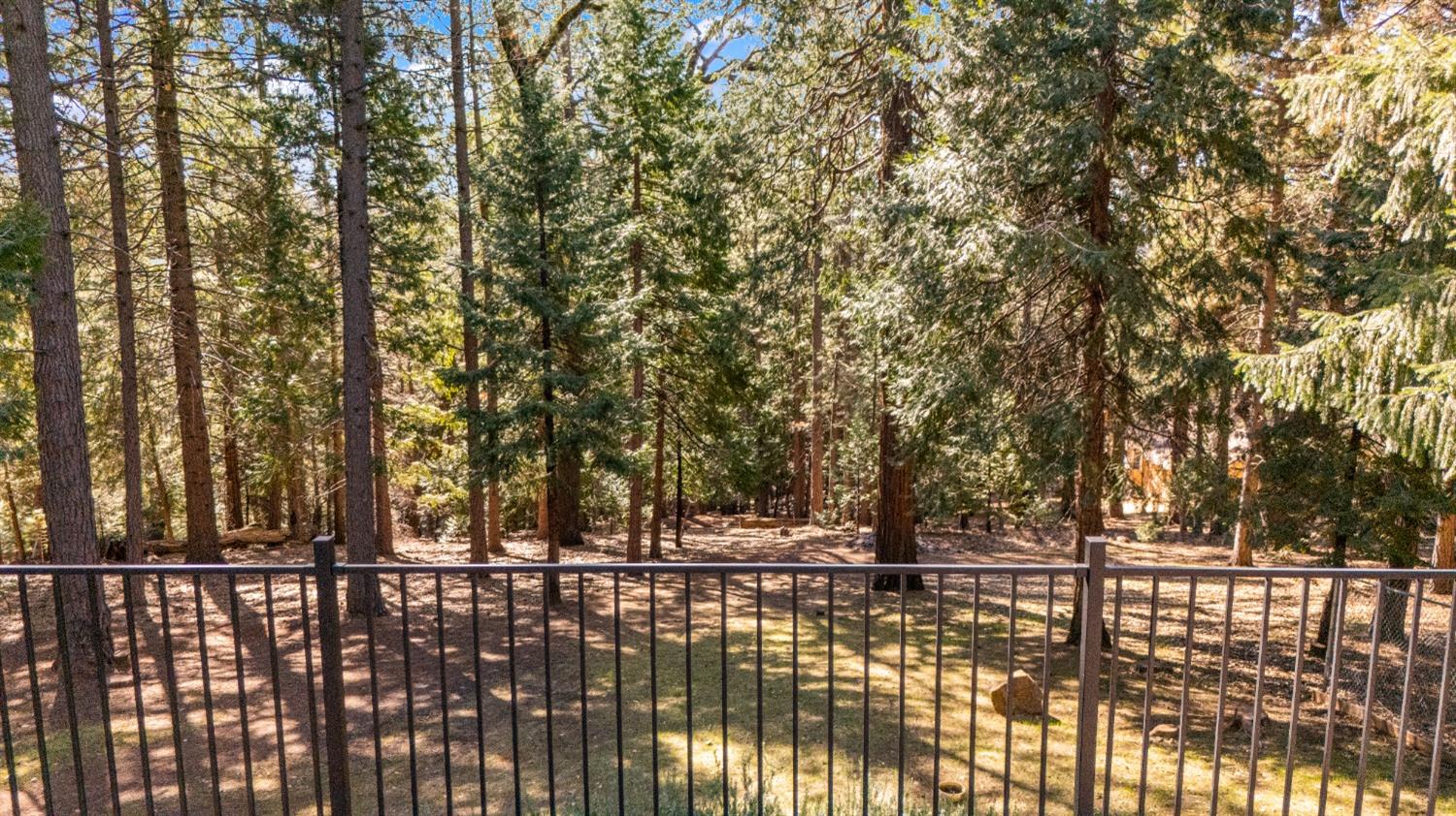 6236 Lynx Trail