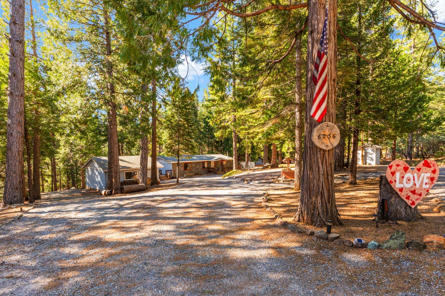6236 Lynx Trail