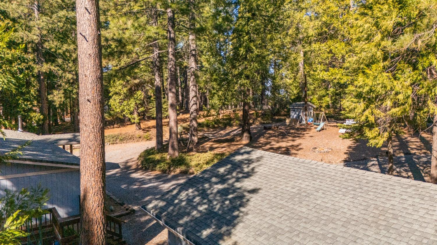 6236 Lynx Trail