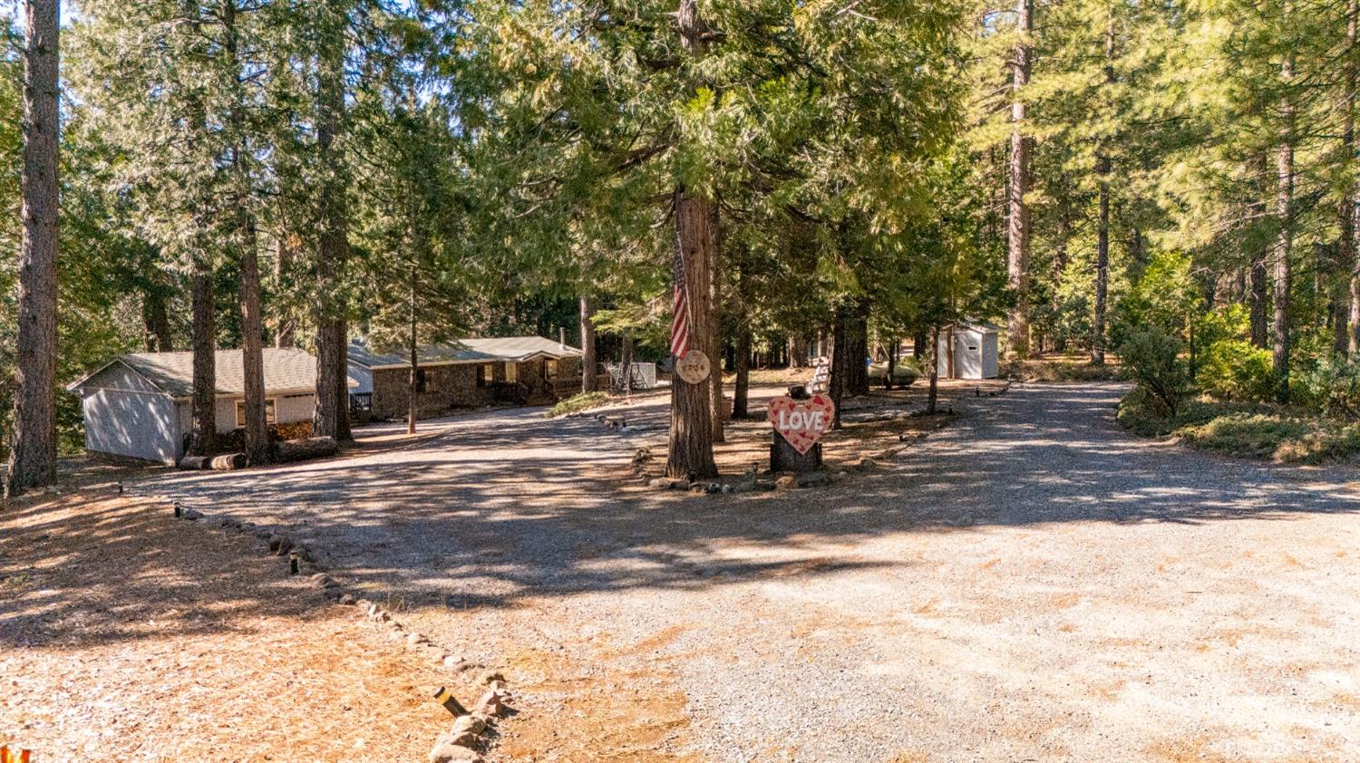 6236 Lynx Trail