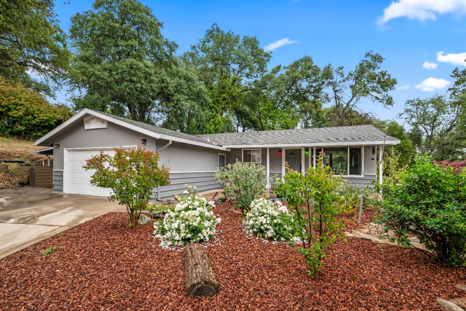 4428 Panorama Drive