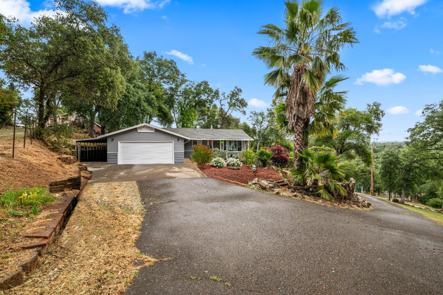 4428 Panorama Drive