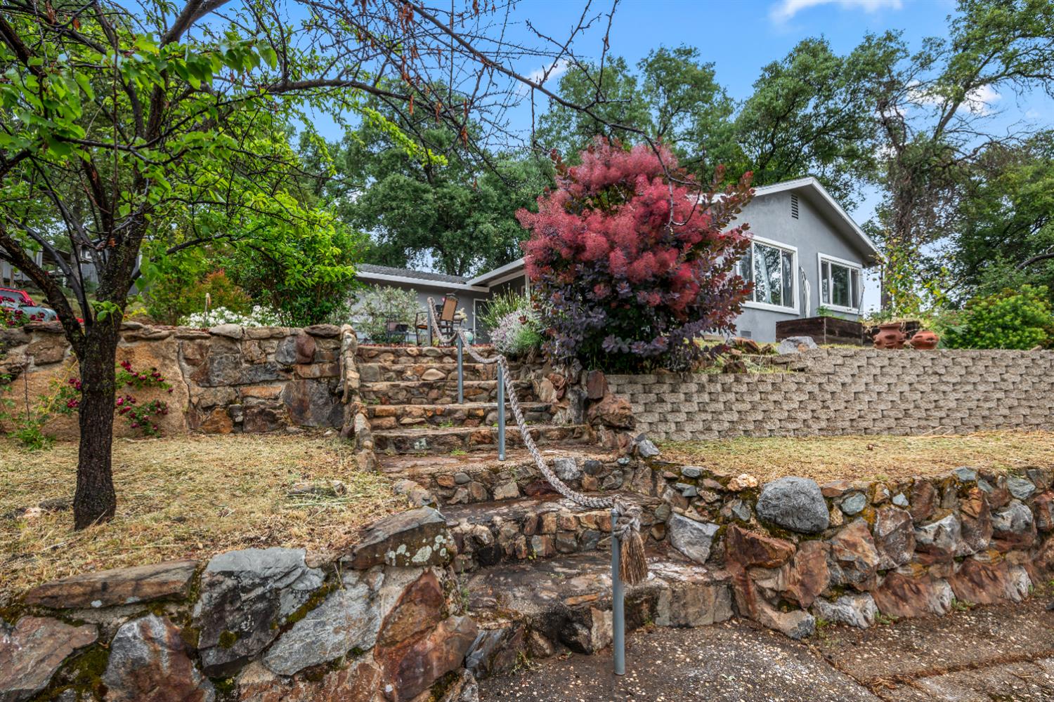 4428 Panorama Drive