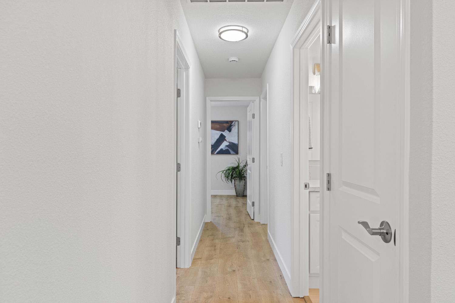 382 Jane Drive