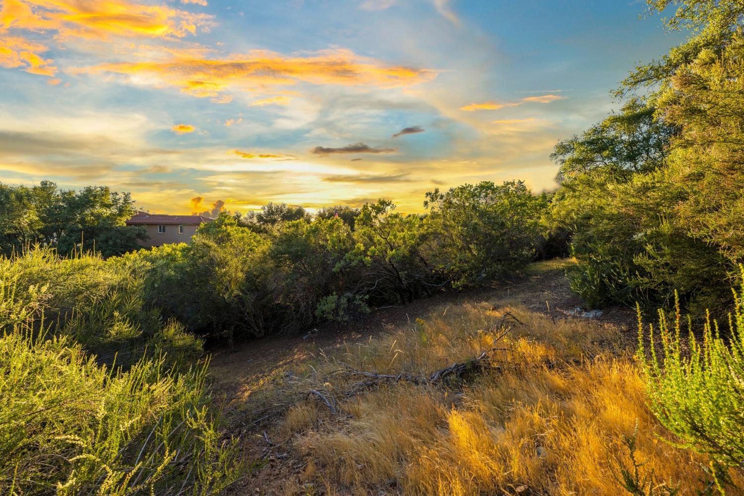 3620 Castlerock Road