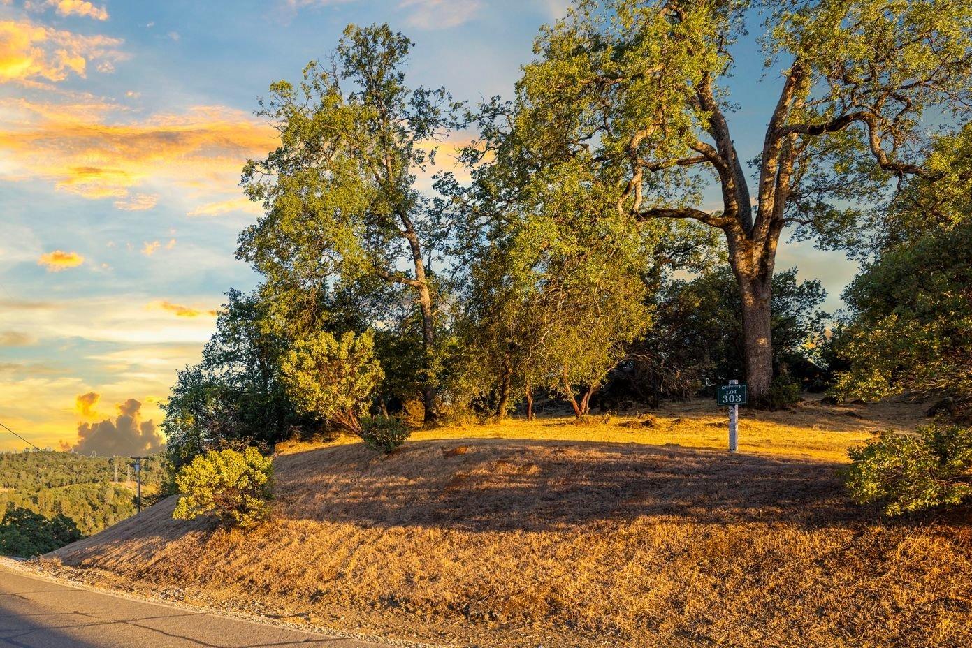 3620 Castlerock Road