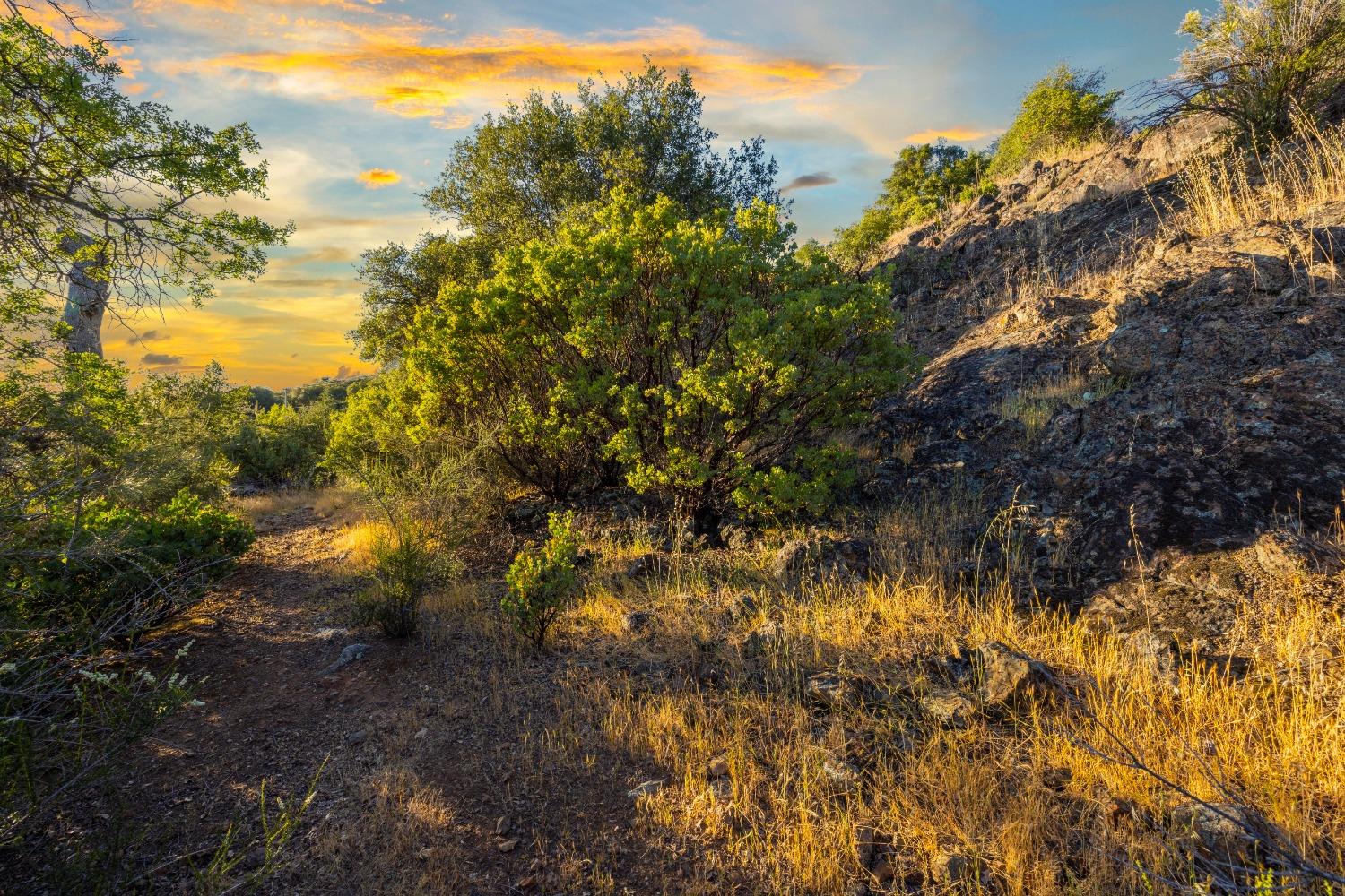 3620 Castlerock Road