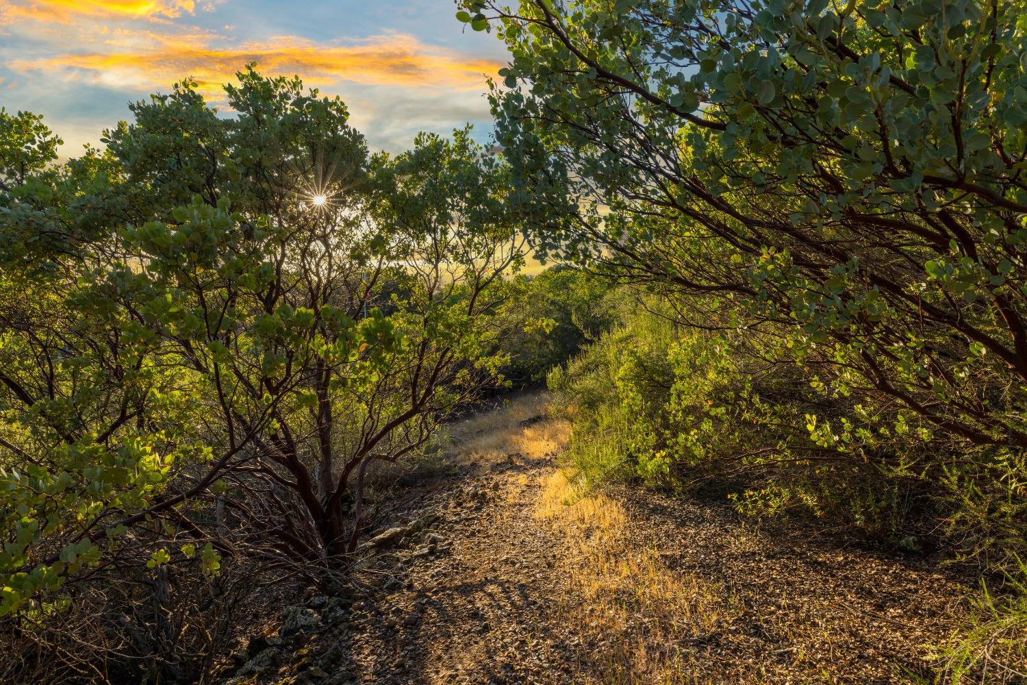 3620 Castlerock Road