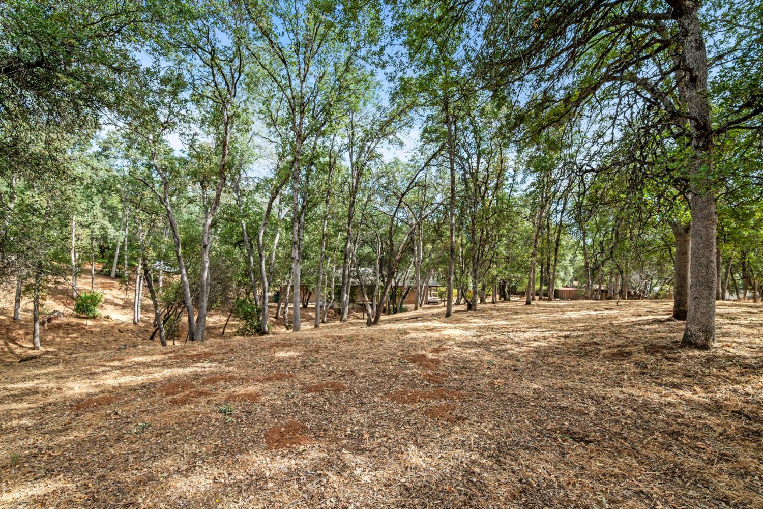 6321 Zamora Drive