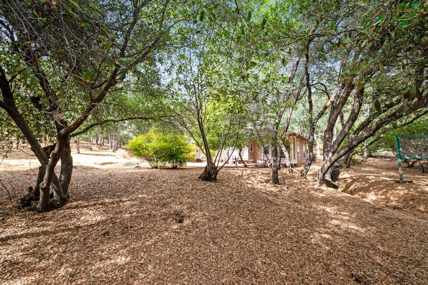 6321 Zamora Drive