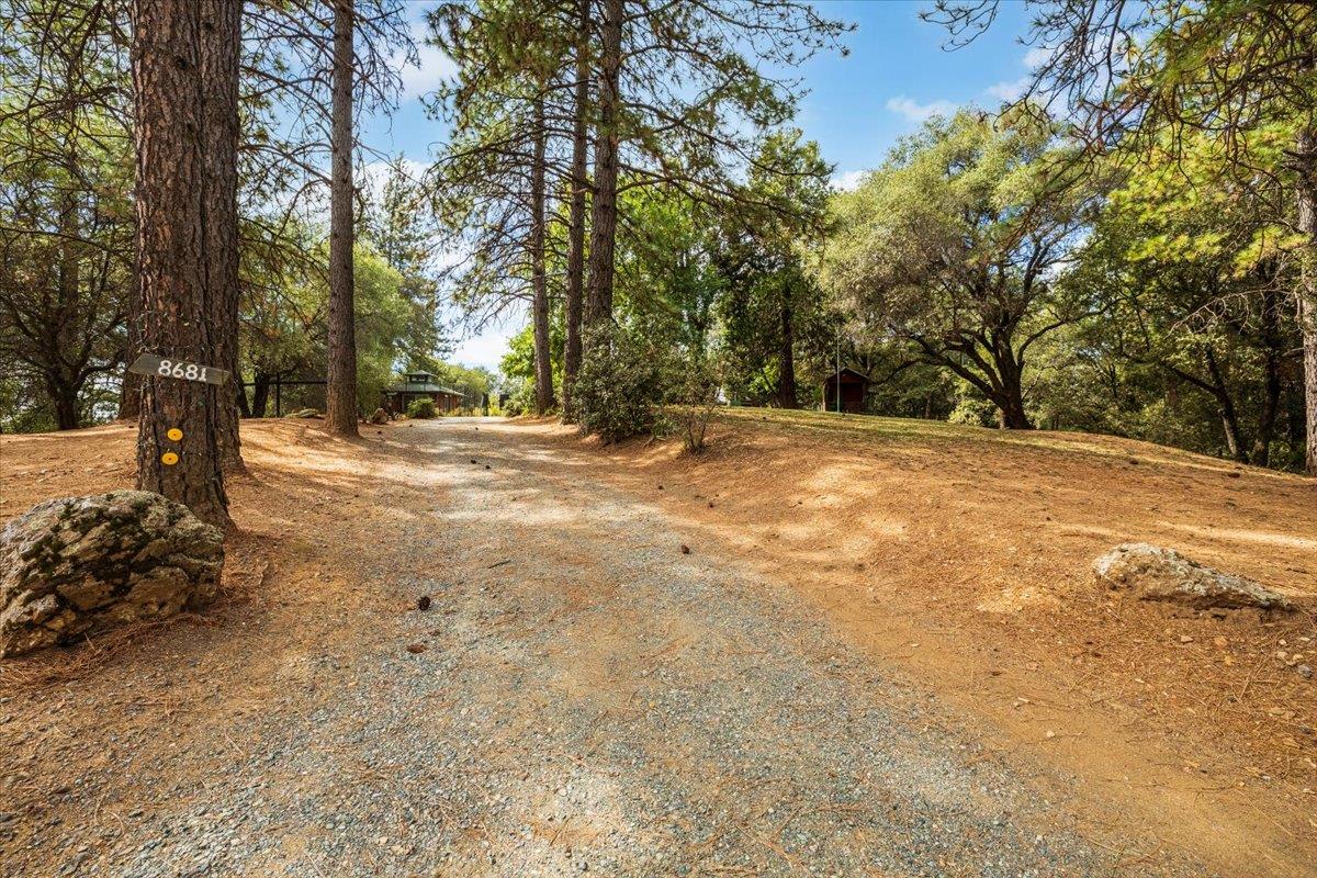 8681 State Highway 193