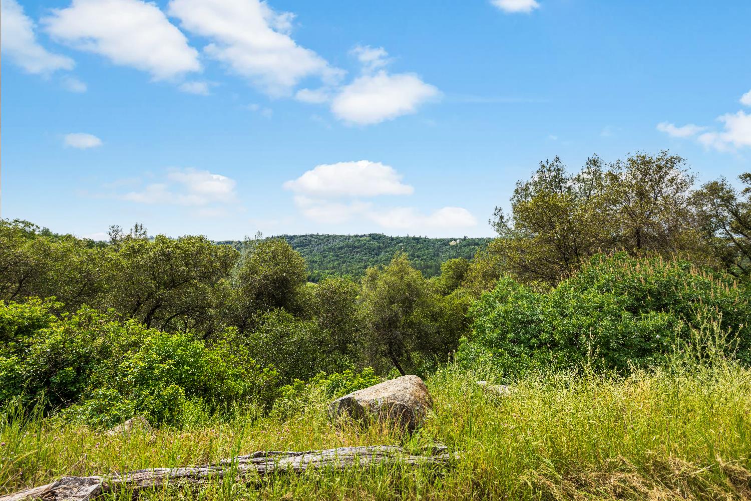 1608 Good Pasture Court