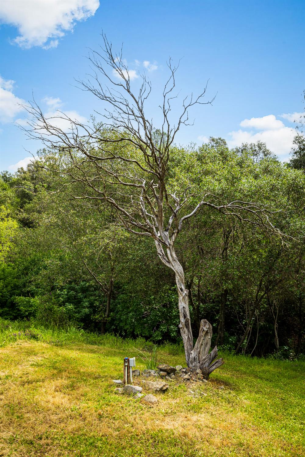 1608 Good Pasture Court