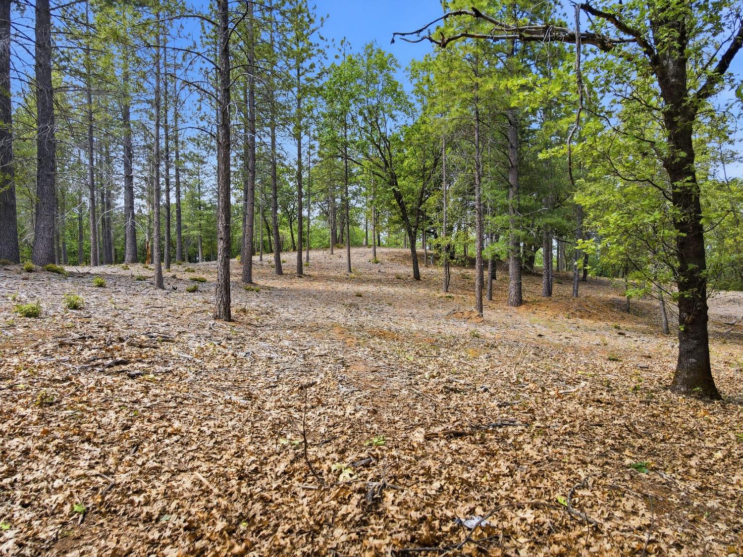 1451 Big Oak Road