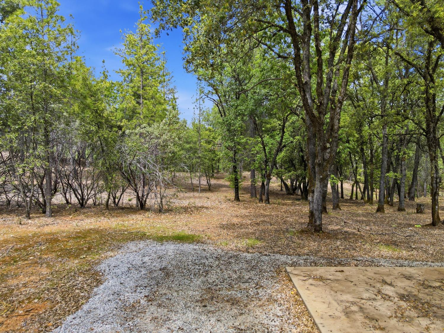 1451 Big Oak Road