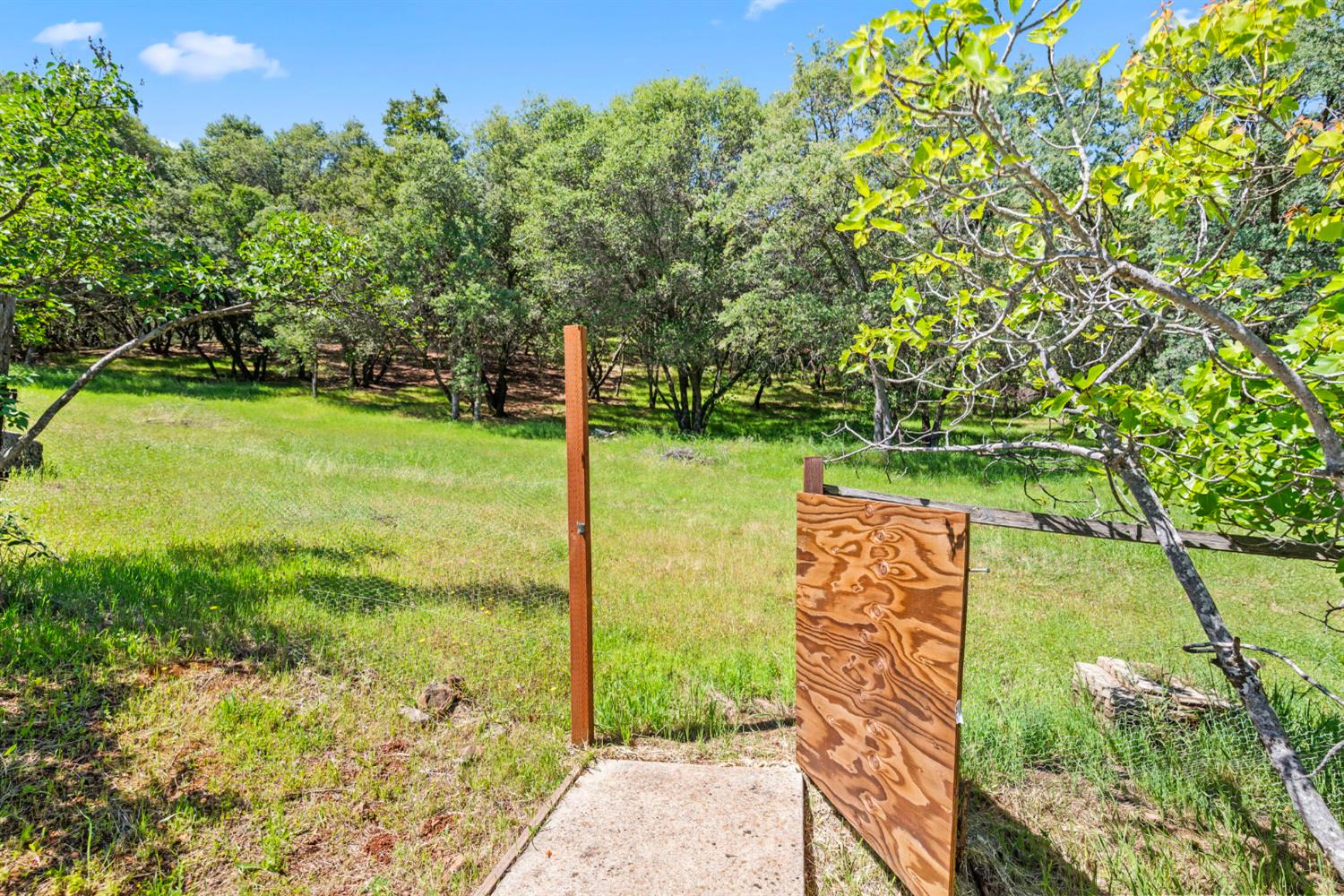 1575 American River Trail