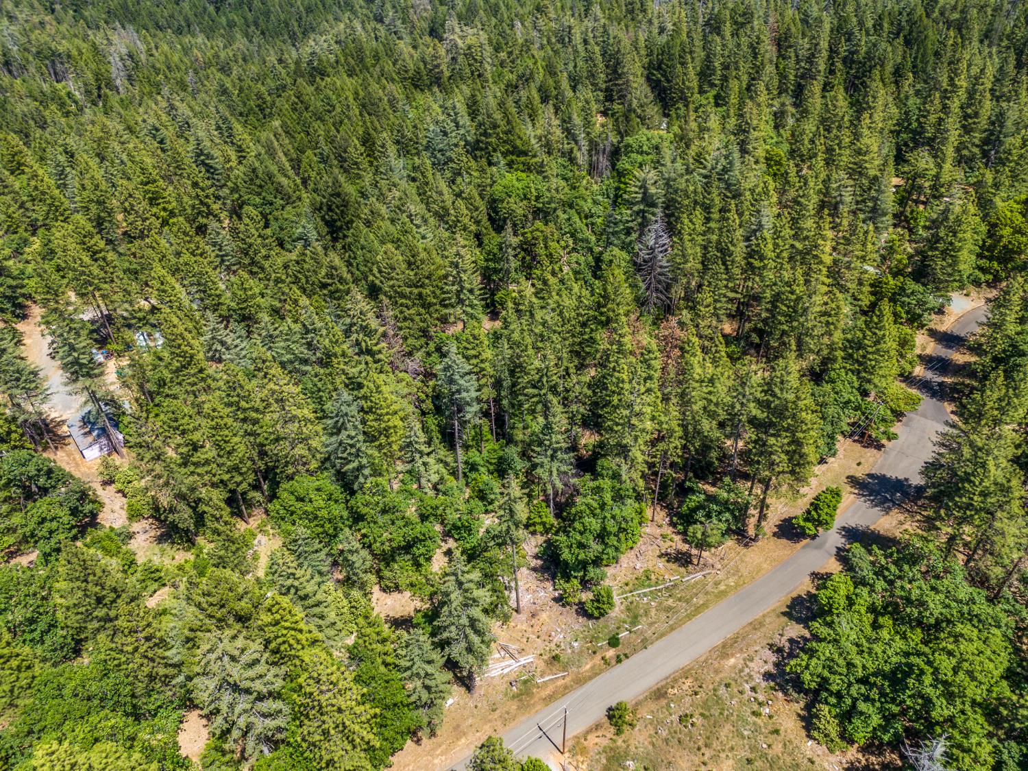 6324 Dickinson Road