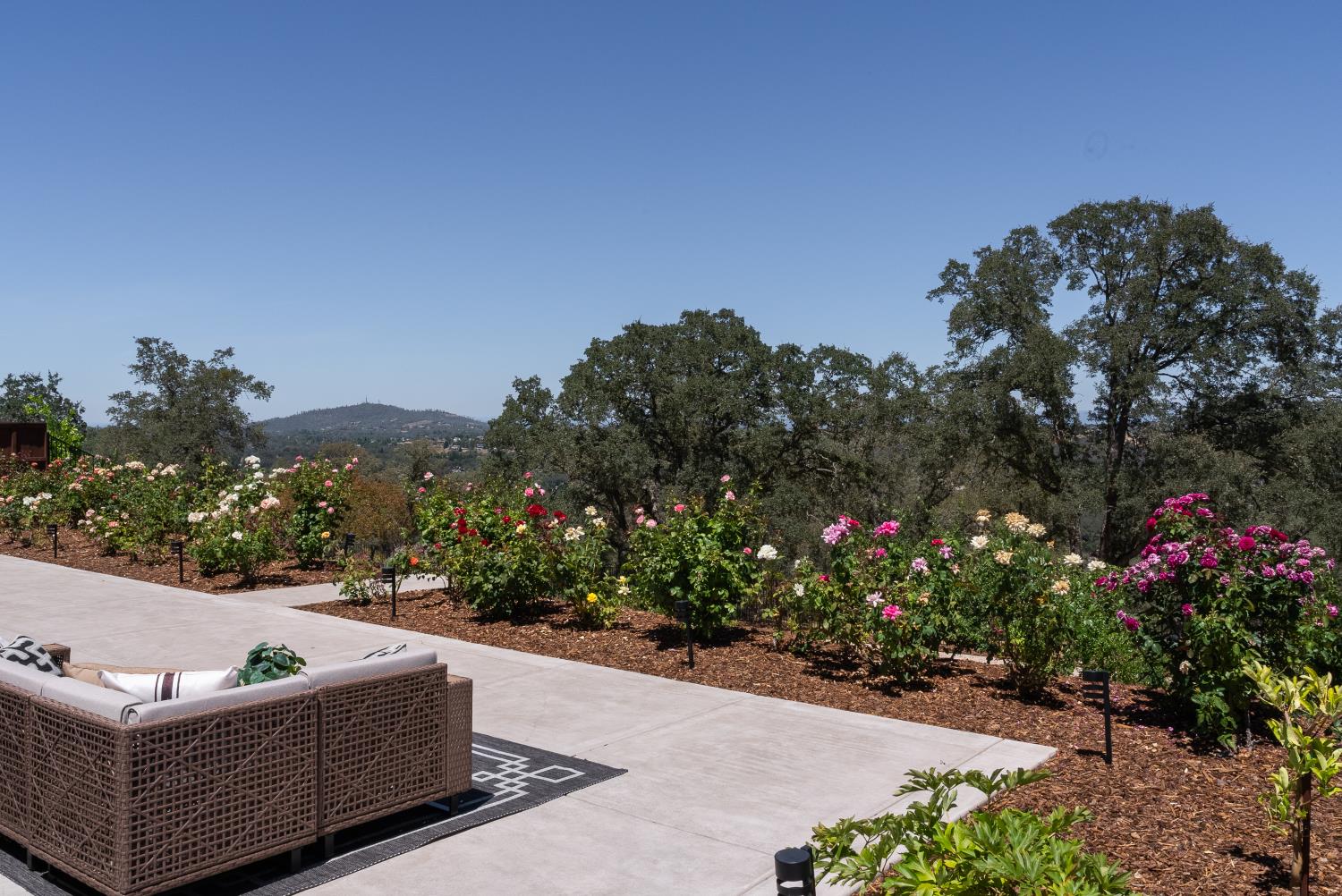 7017 Benevento Drive