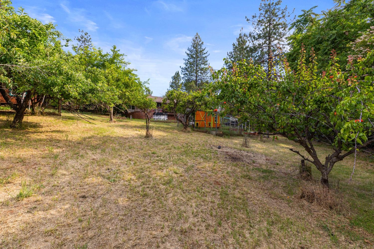 9340 Mosquito Road