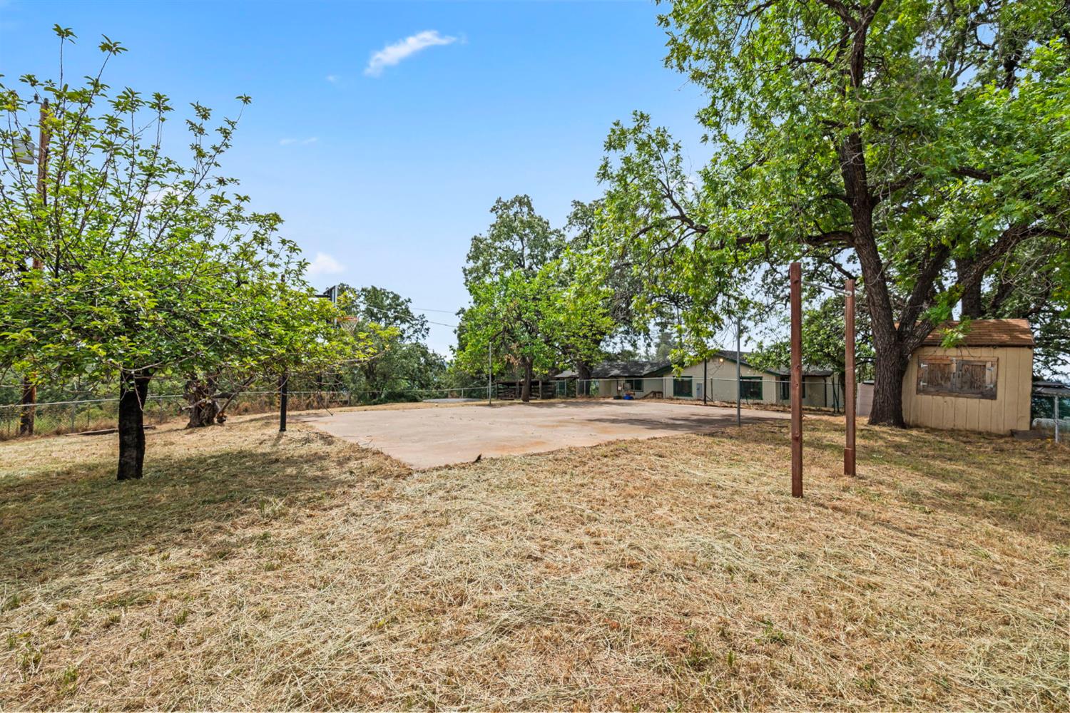 3700 Springer Road