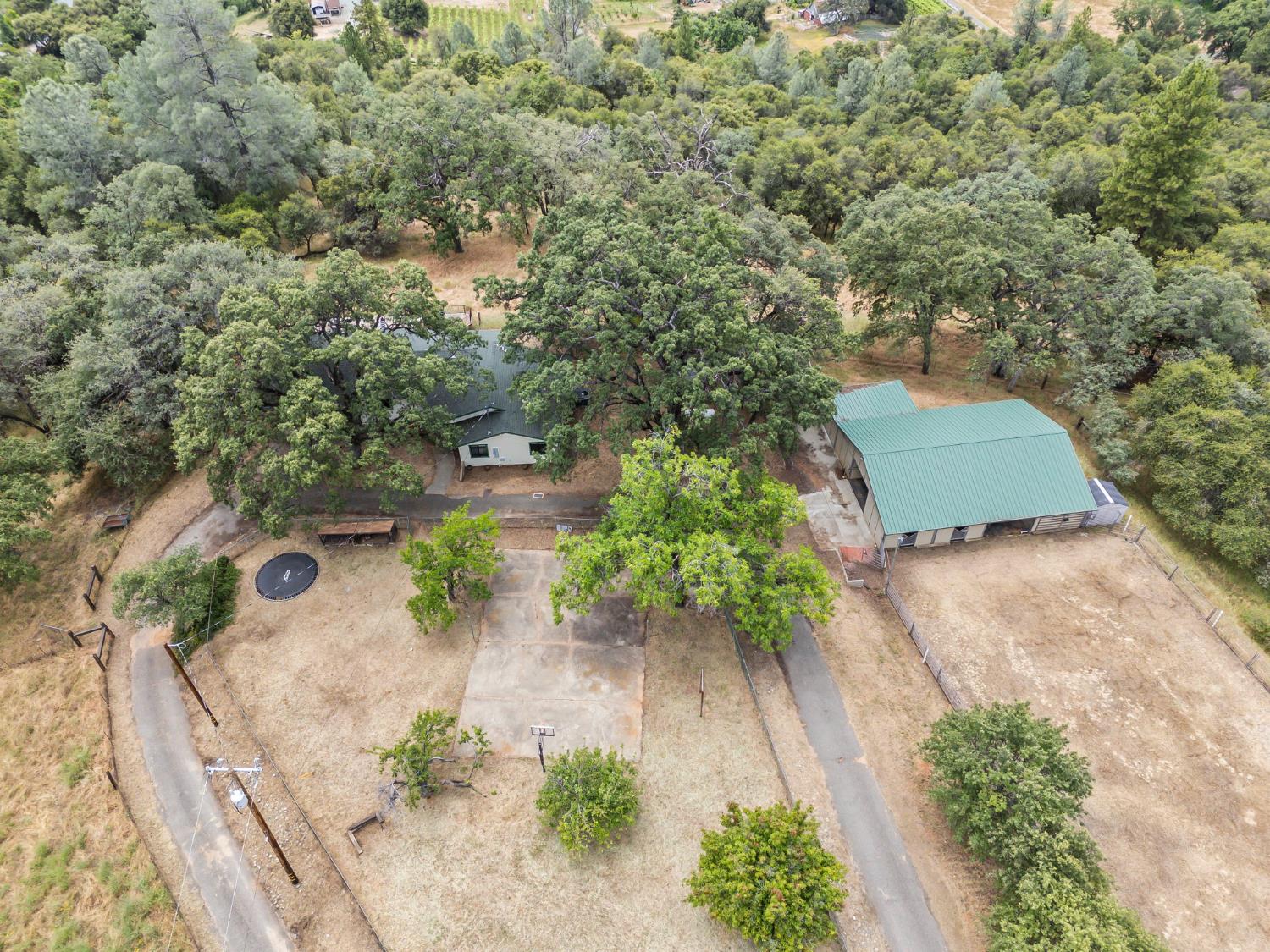 3700 Springer Road