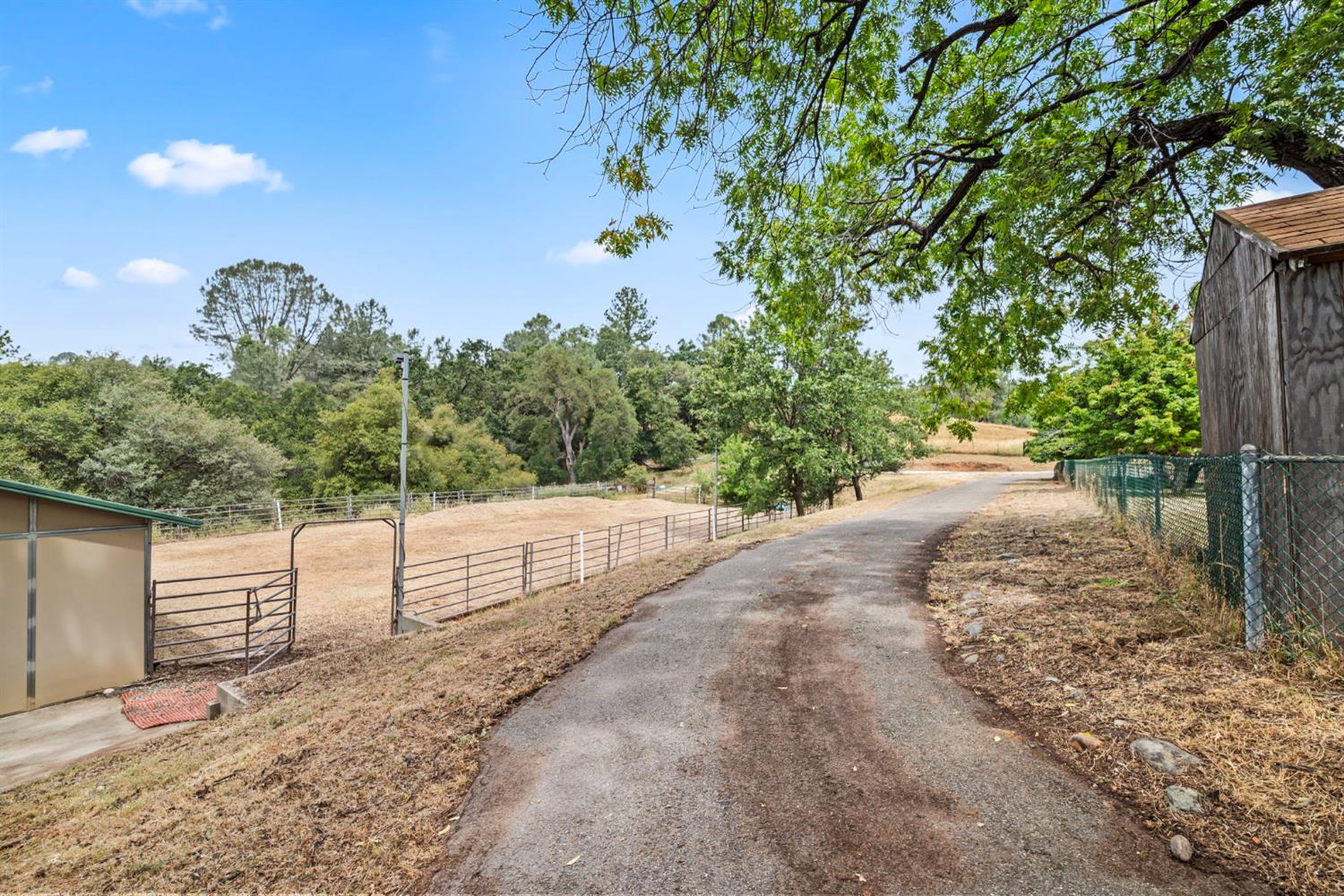 3700 Springer Road