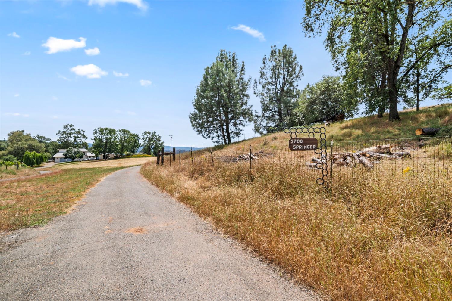 3700 Springer Road