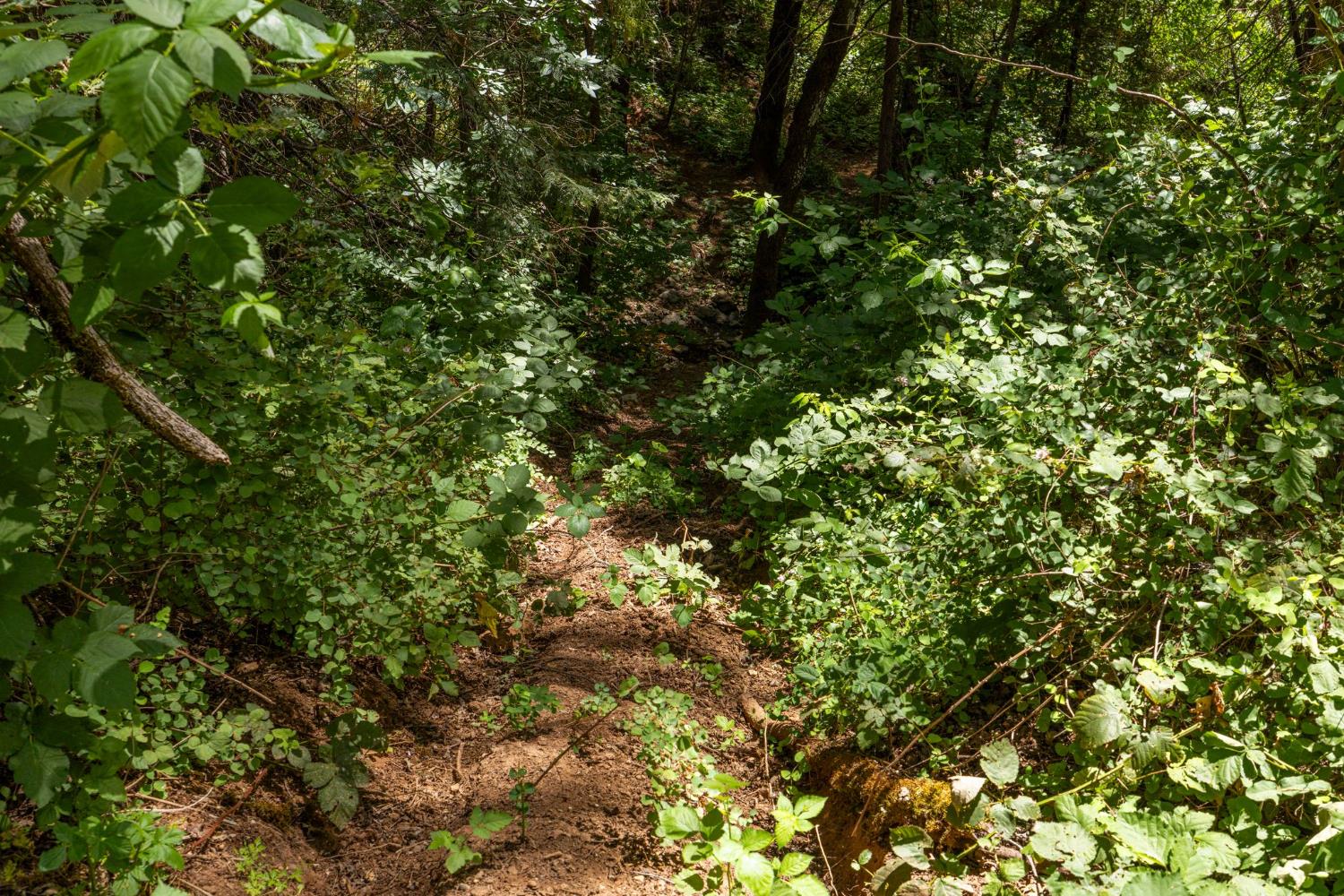 3560 Mining Brook Road