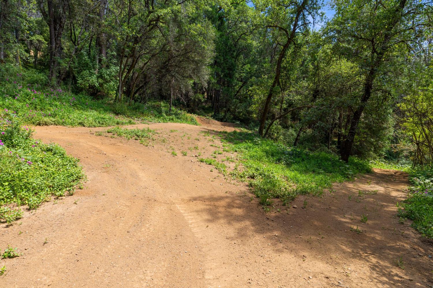 3560 Mining Brook Road