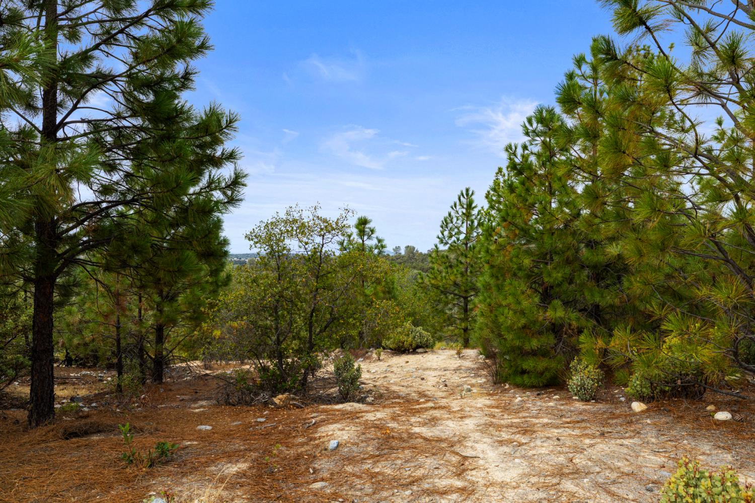 0 Coon Hollow Road