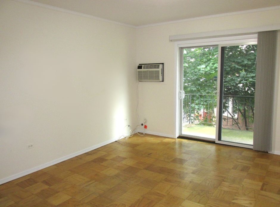 91 W Crystal Lake Avenue Unit: 2S