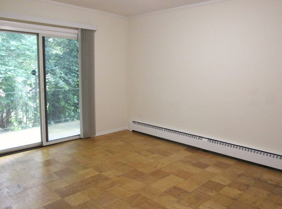 91 W Crystal Lake Avenue Unit: 2S