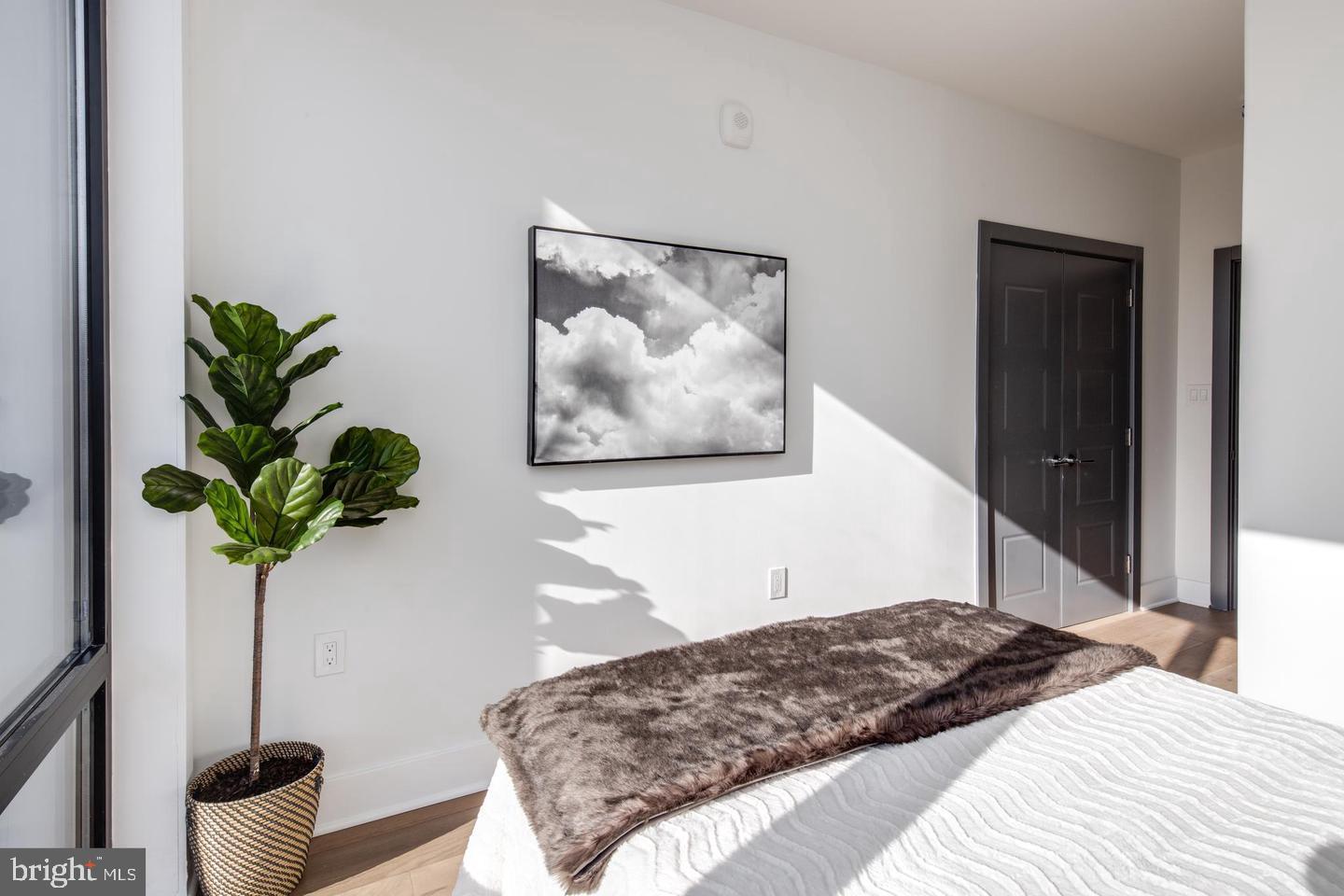 3619 GEORGIA AVE NW #502