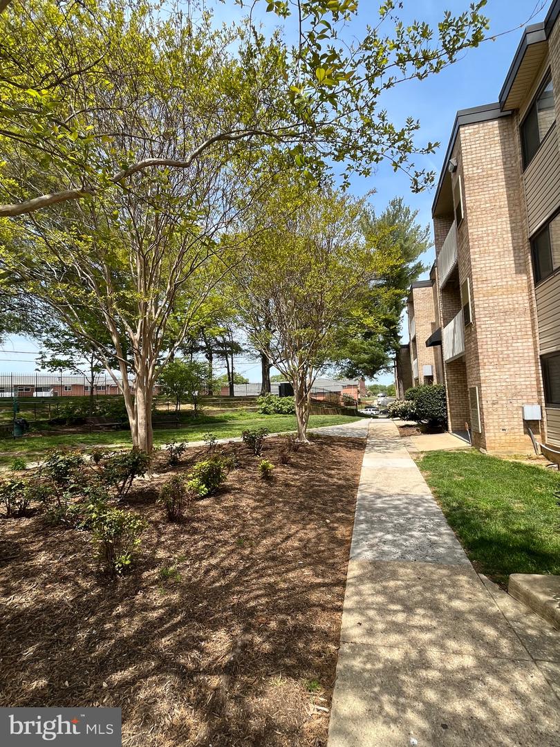 6308 Hil Mar Dr #8-9