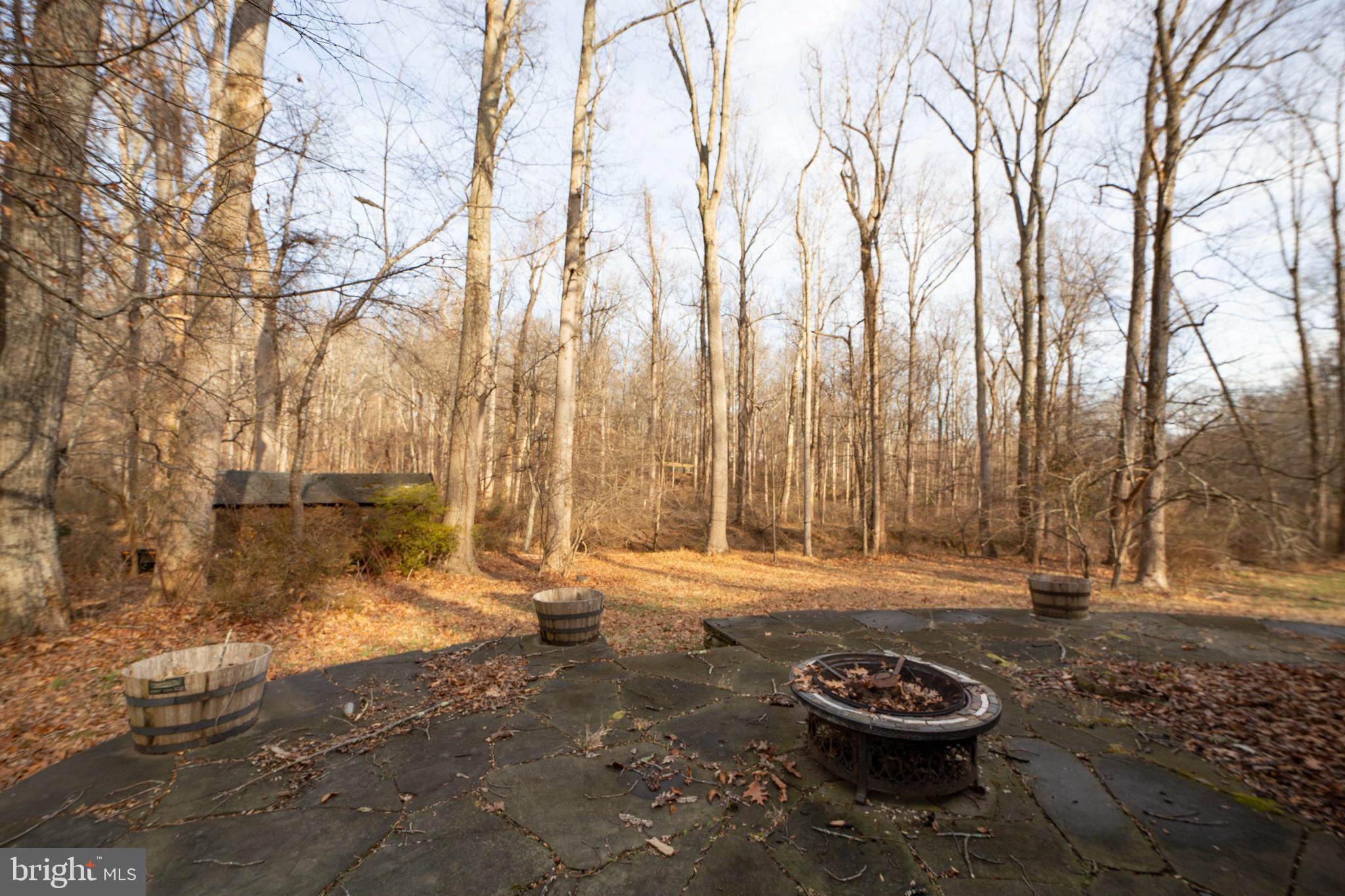 10600 HUNTER STATION ROAD