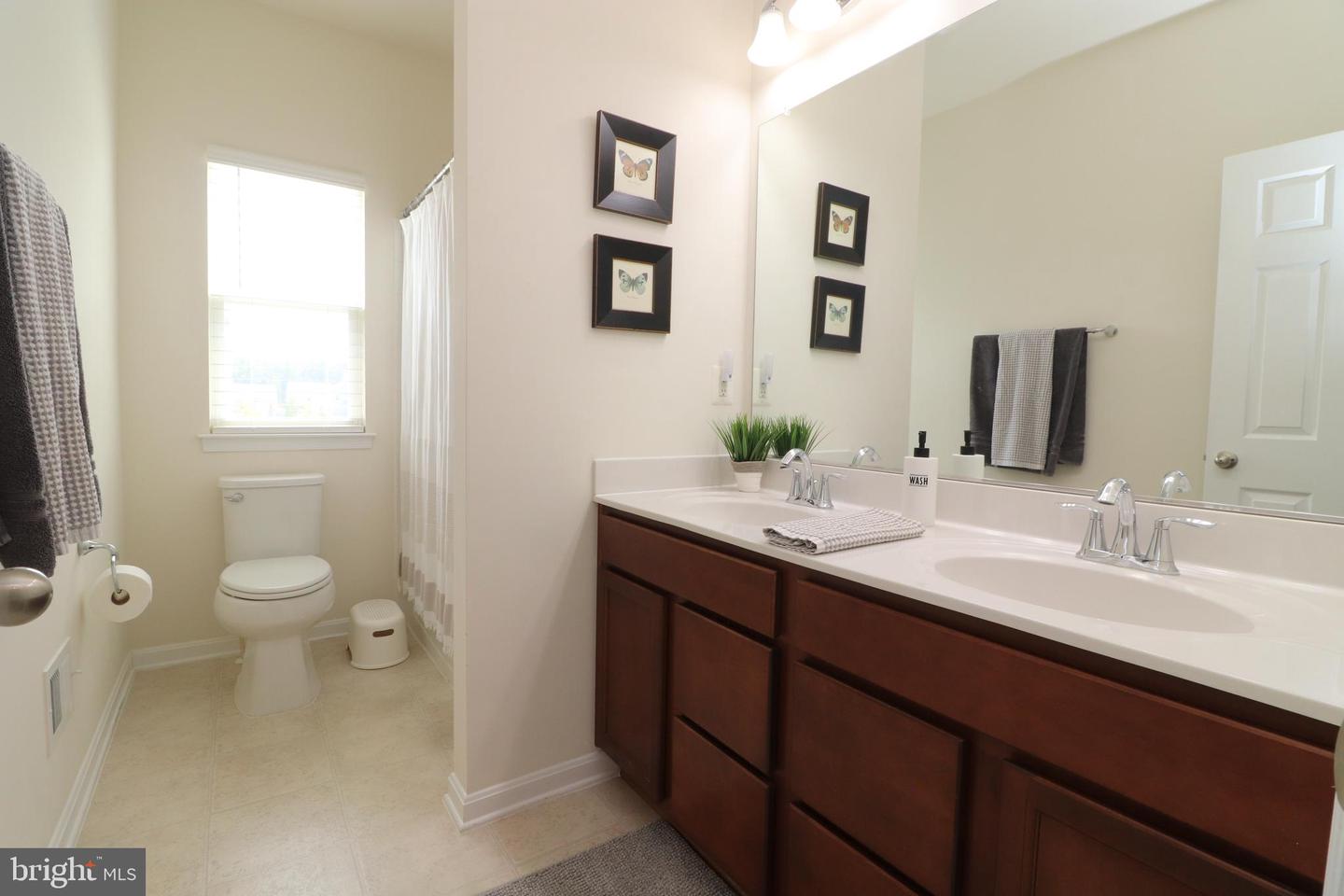 425 Boxelder Dr