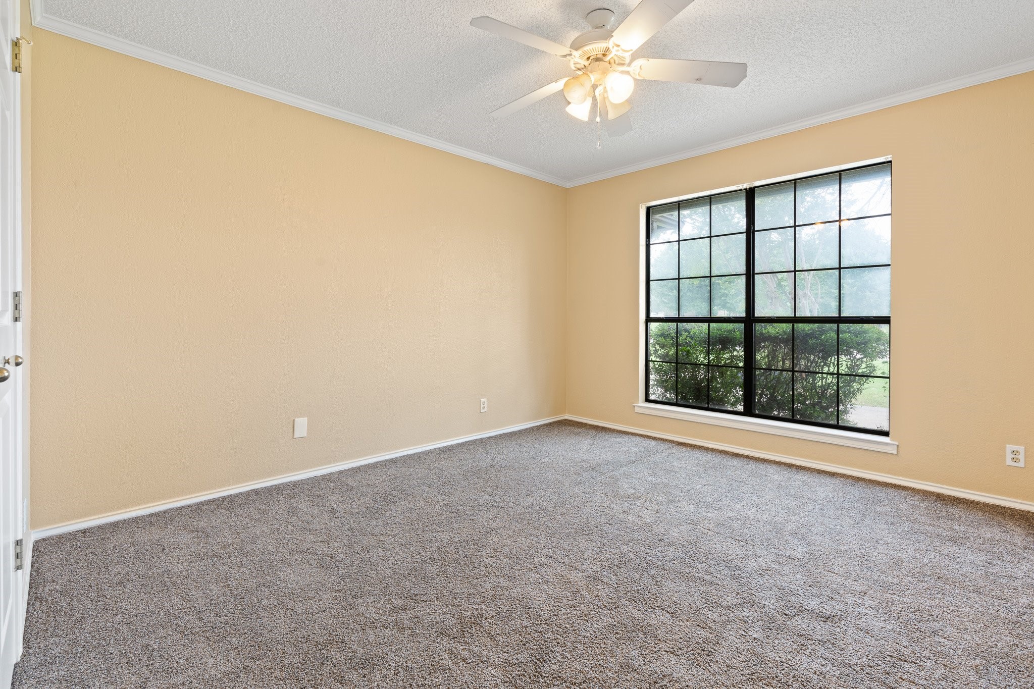 9118 Ravenswood Road