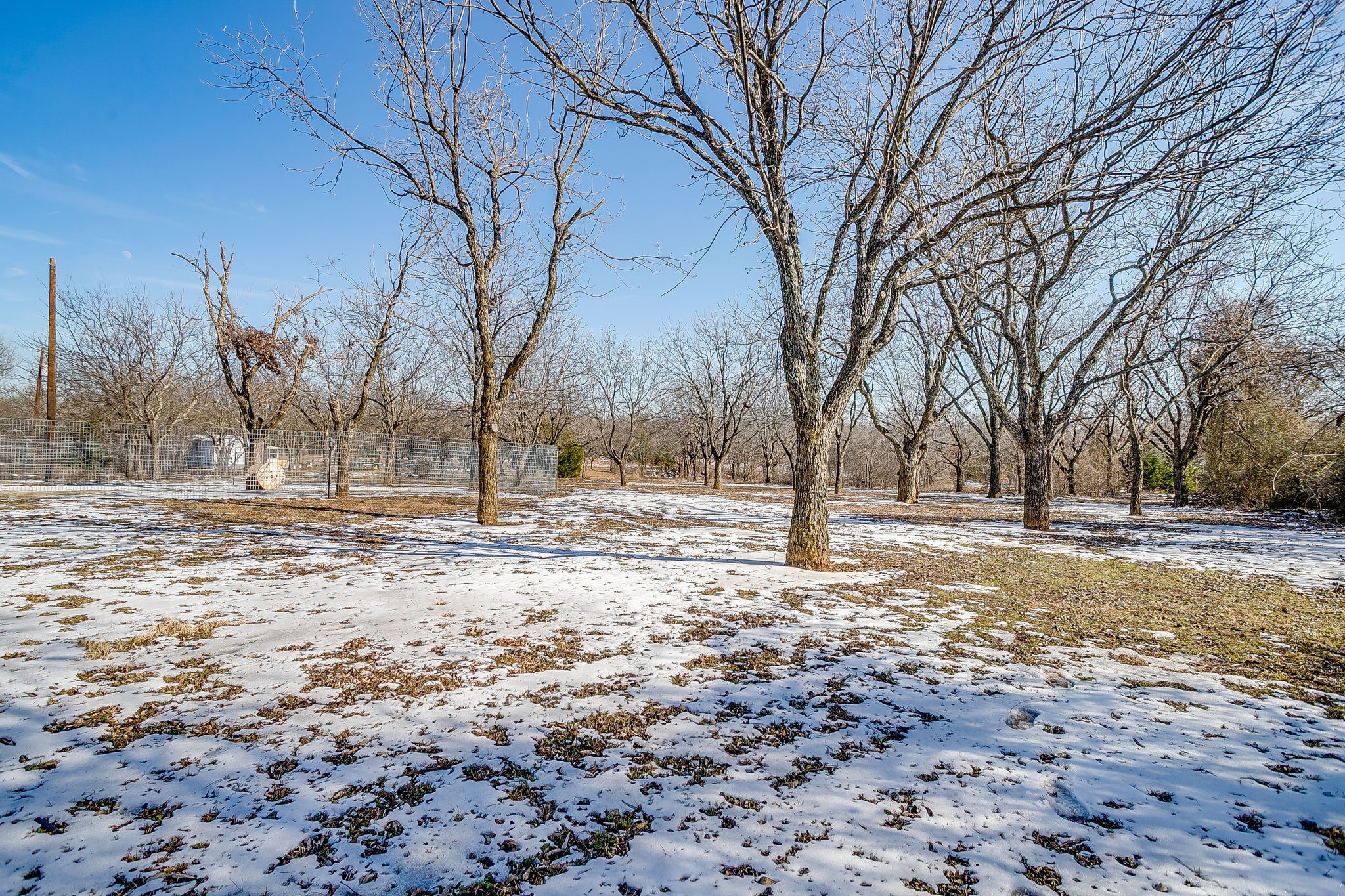 3732 County Road 1100