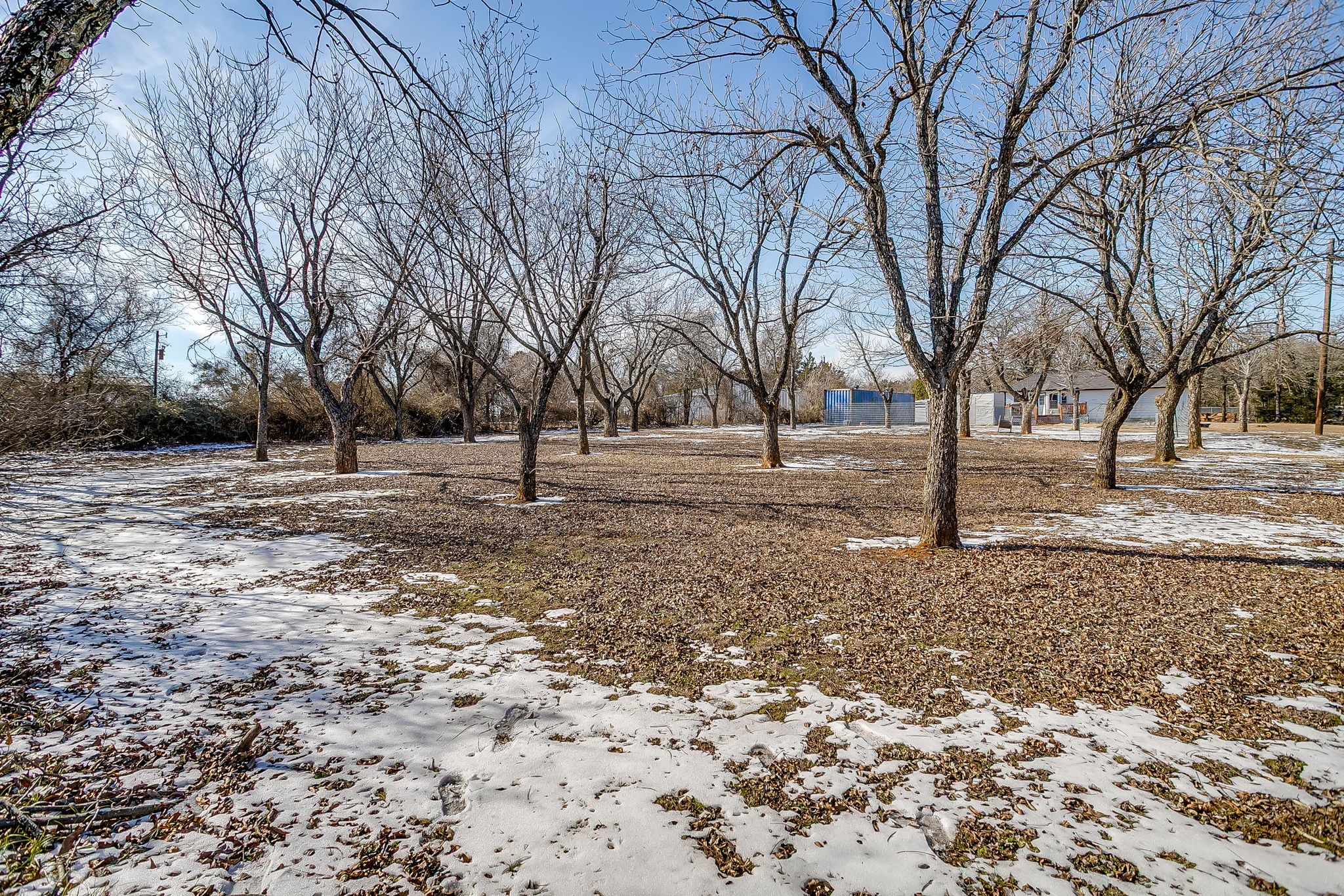 3732 County Road 1100