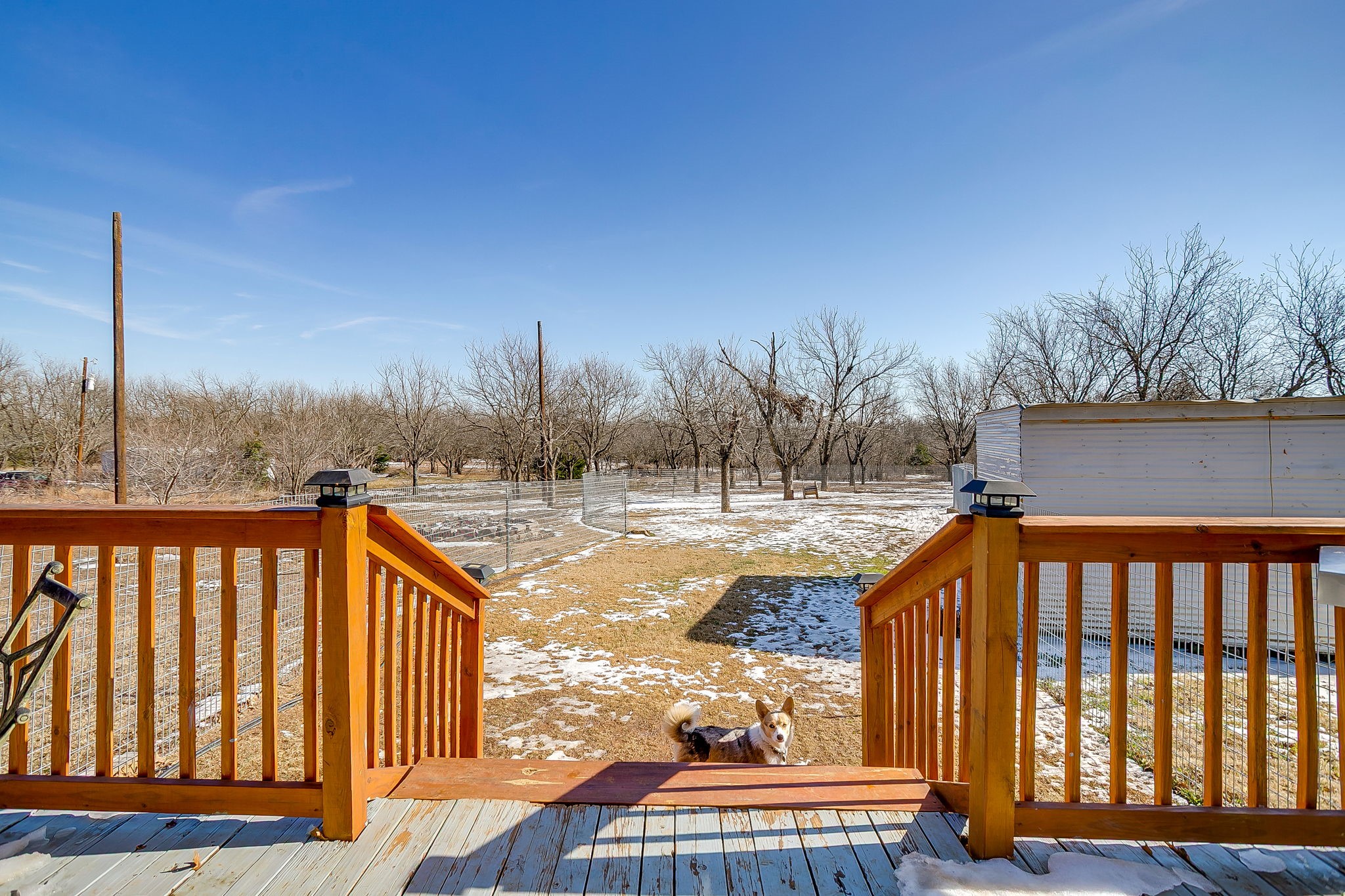 3732 County Road 1100