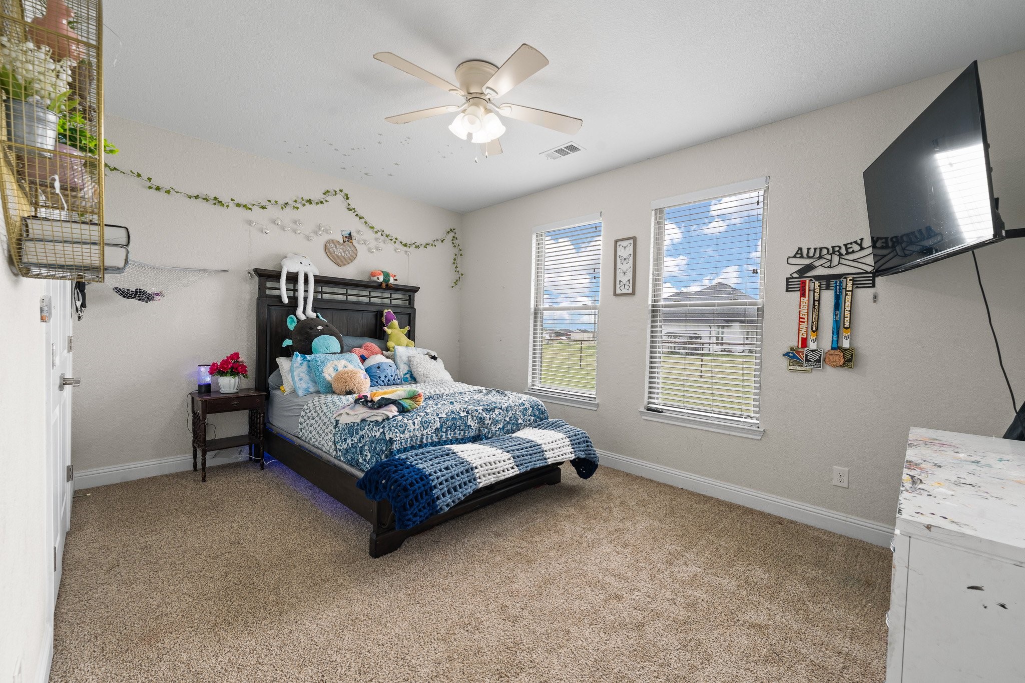 3401 Chinaberry Lane