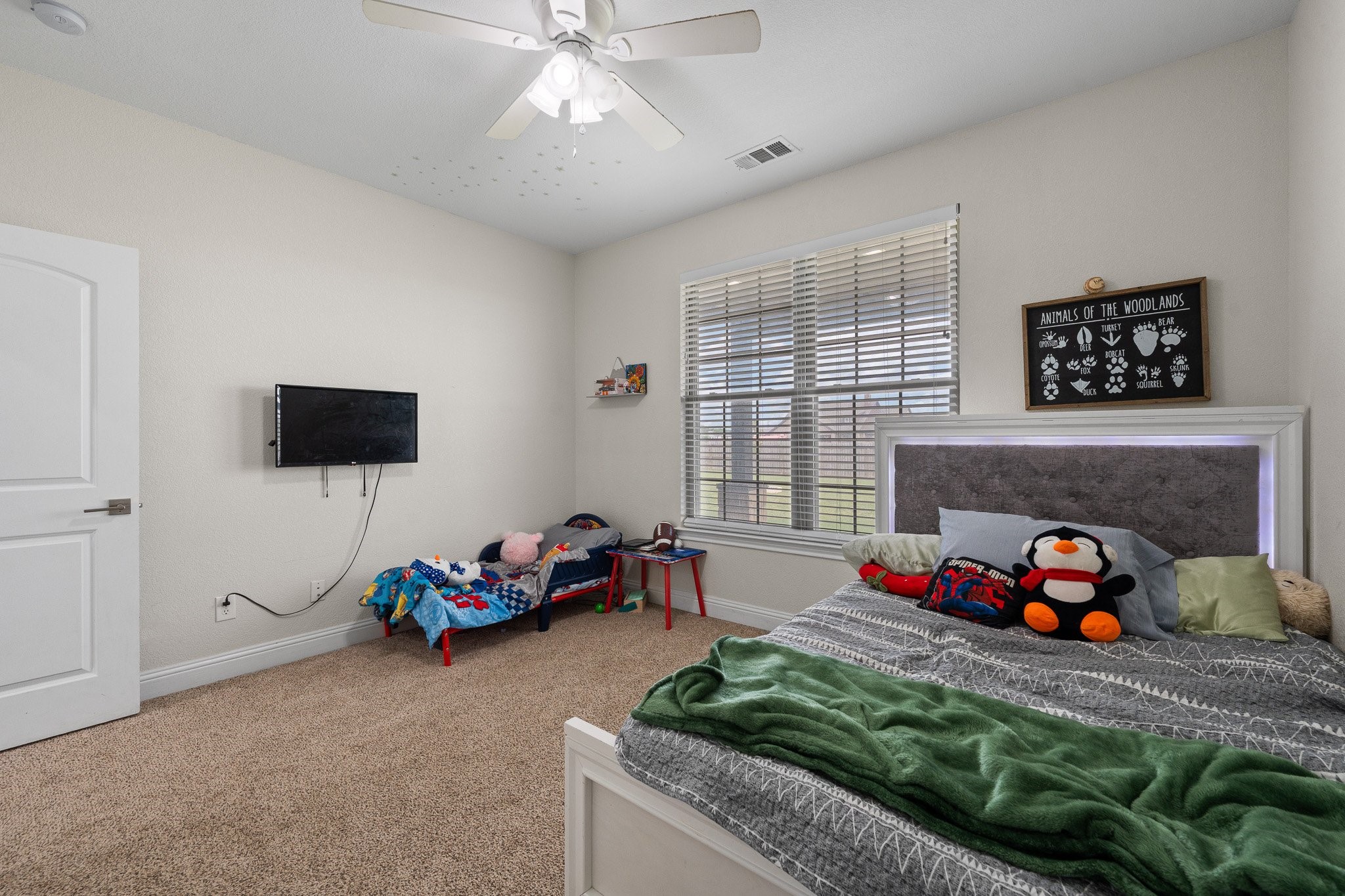 3401 Chinaberry Lane