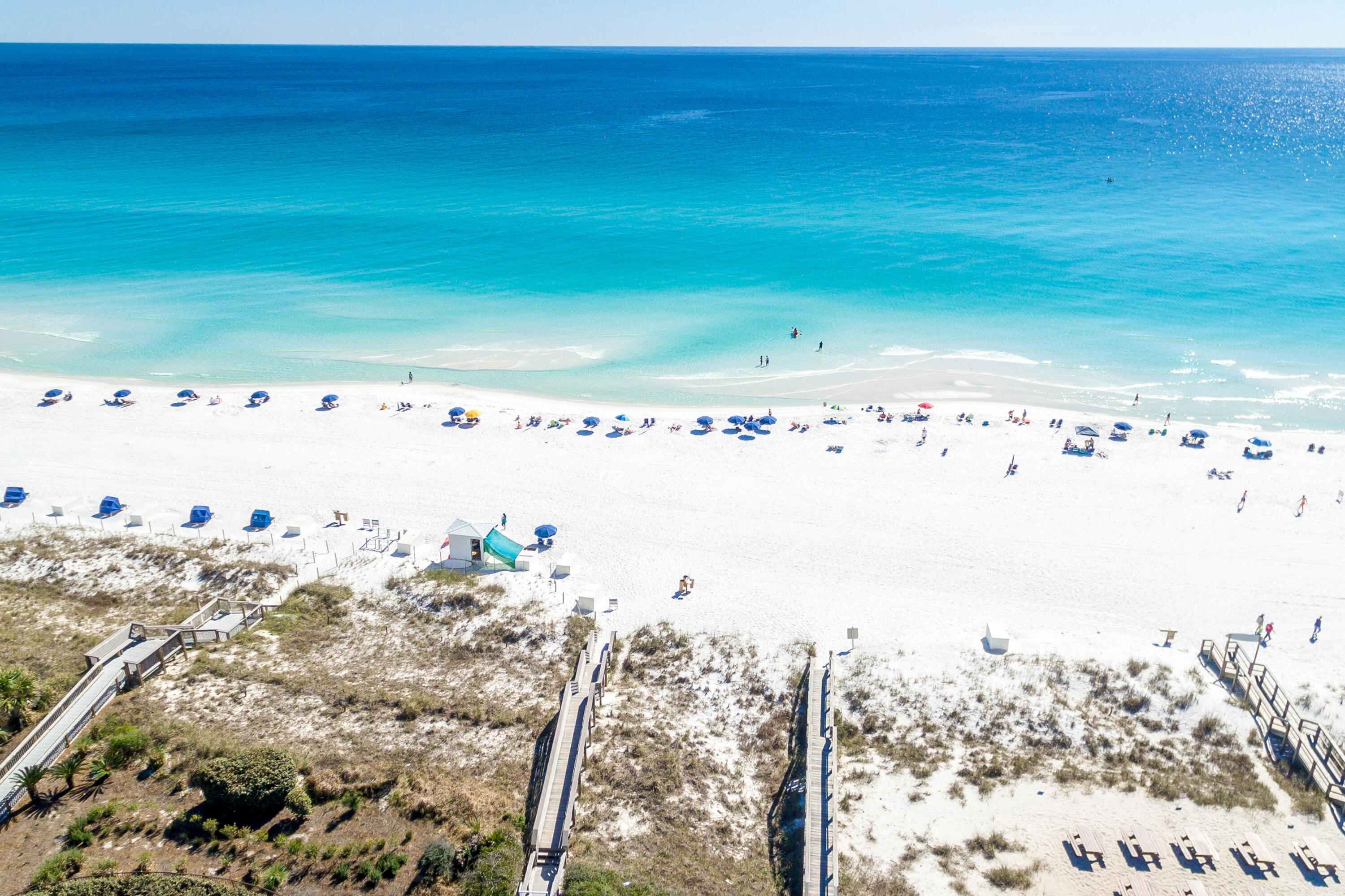 229 Rue Saint Tropez