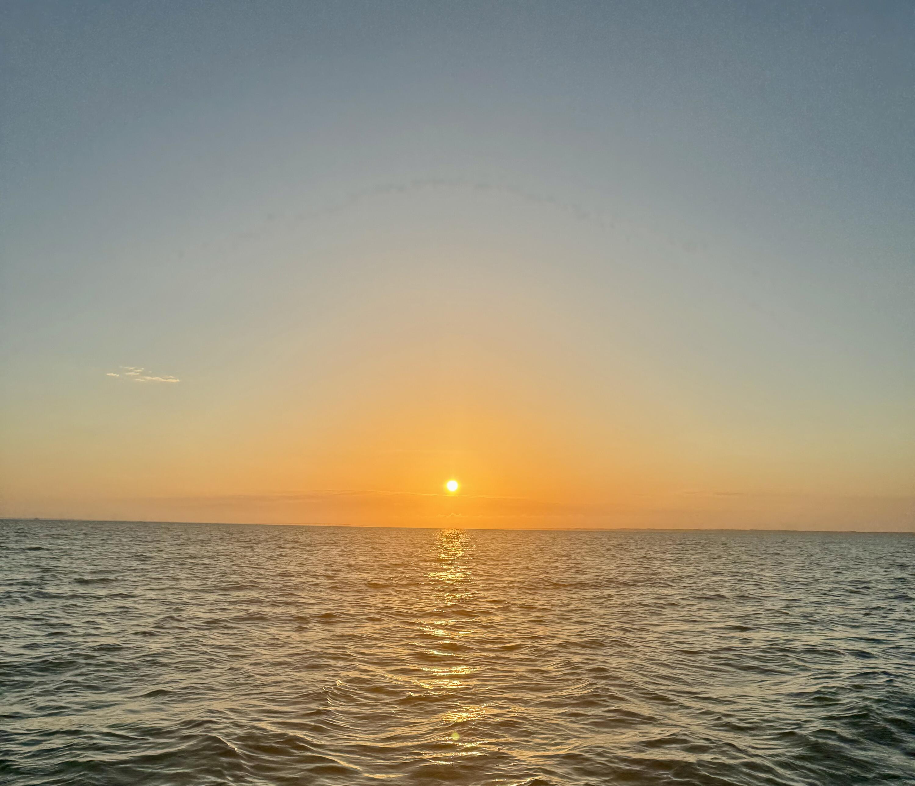 1331 White Blossom Lane