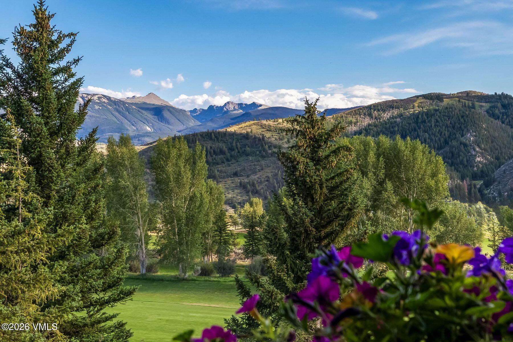 1372 Beard Creek Trail