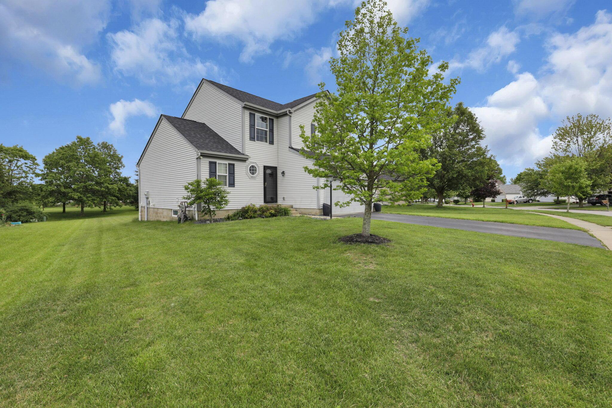 226 Purple Finch Loop