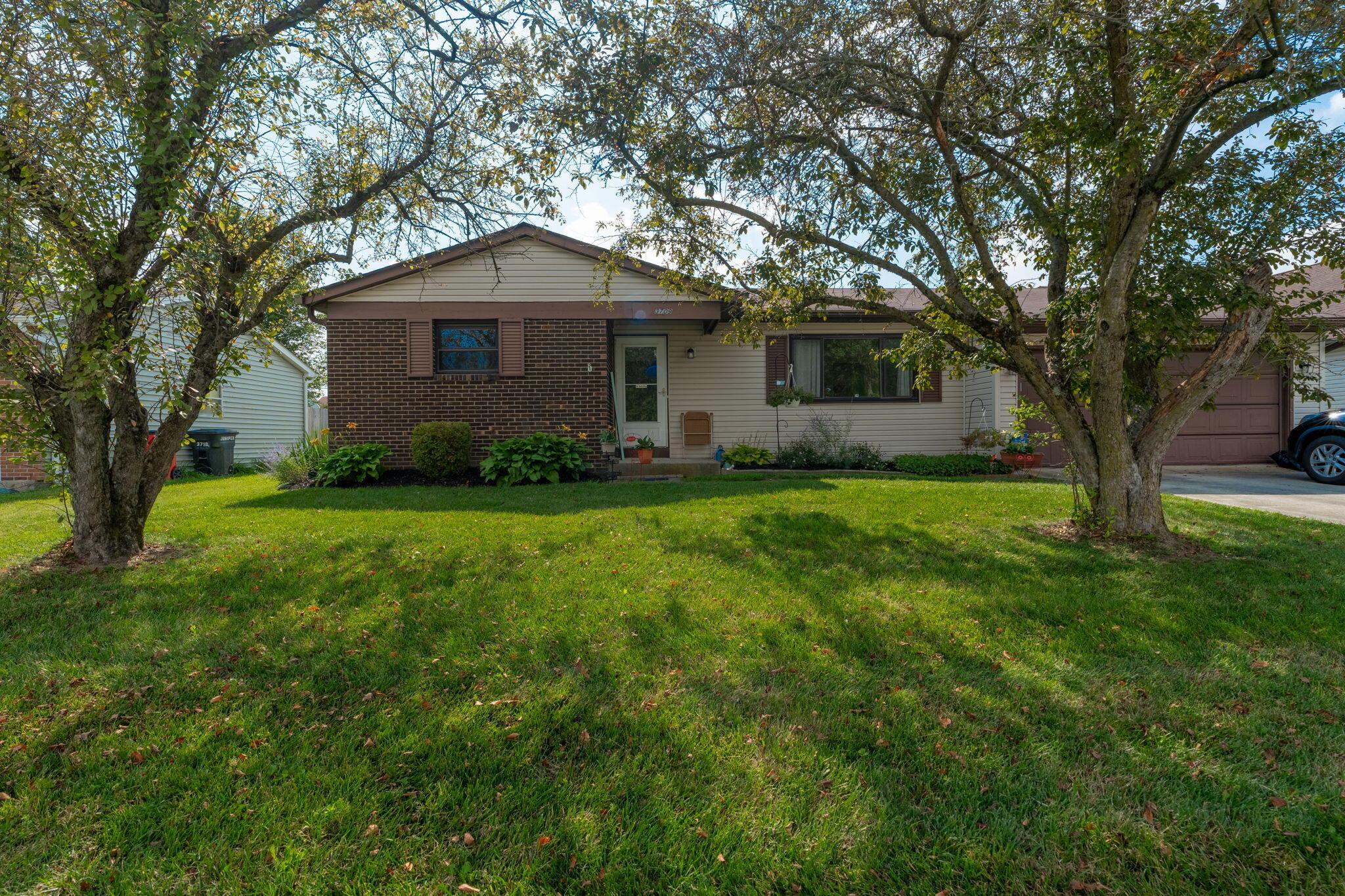 3709 Juniper Street