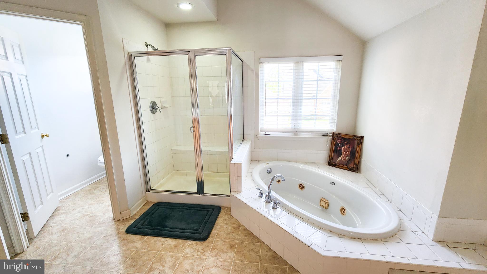 10119 EGERTON FARM COURT