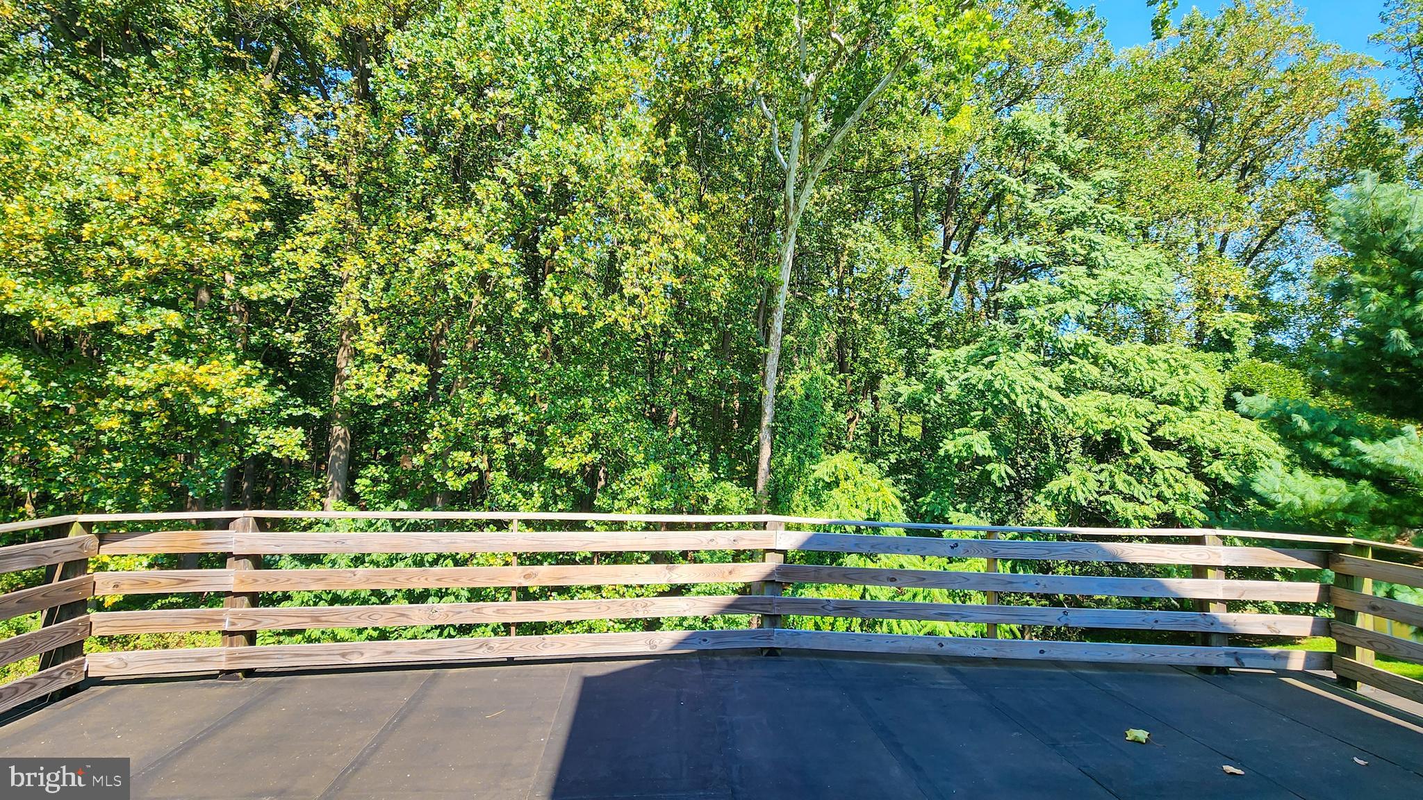 10119 EGERTON FARM COURT